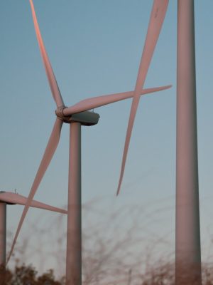 Energías renovables